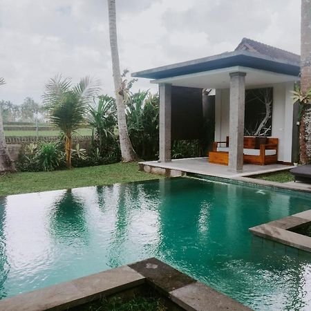 Anggira Villa Ubud Exteriér fotografie