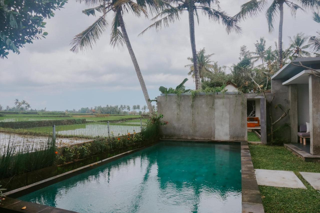 Anggira Villa Ubud Exteriér fotografie