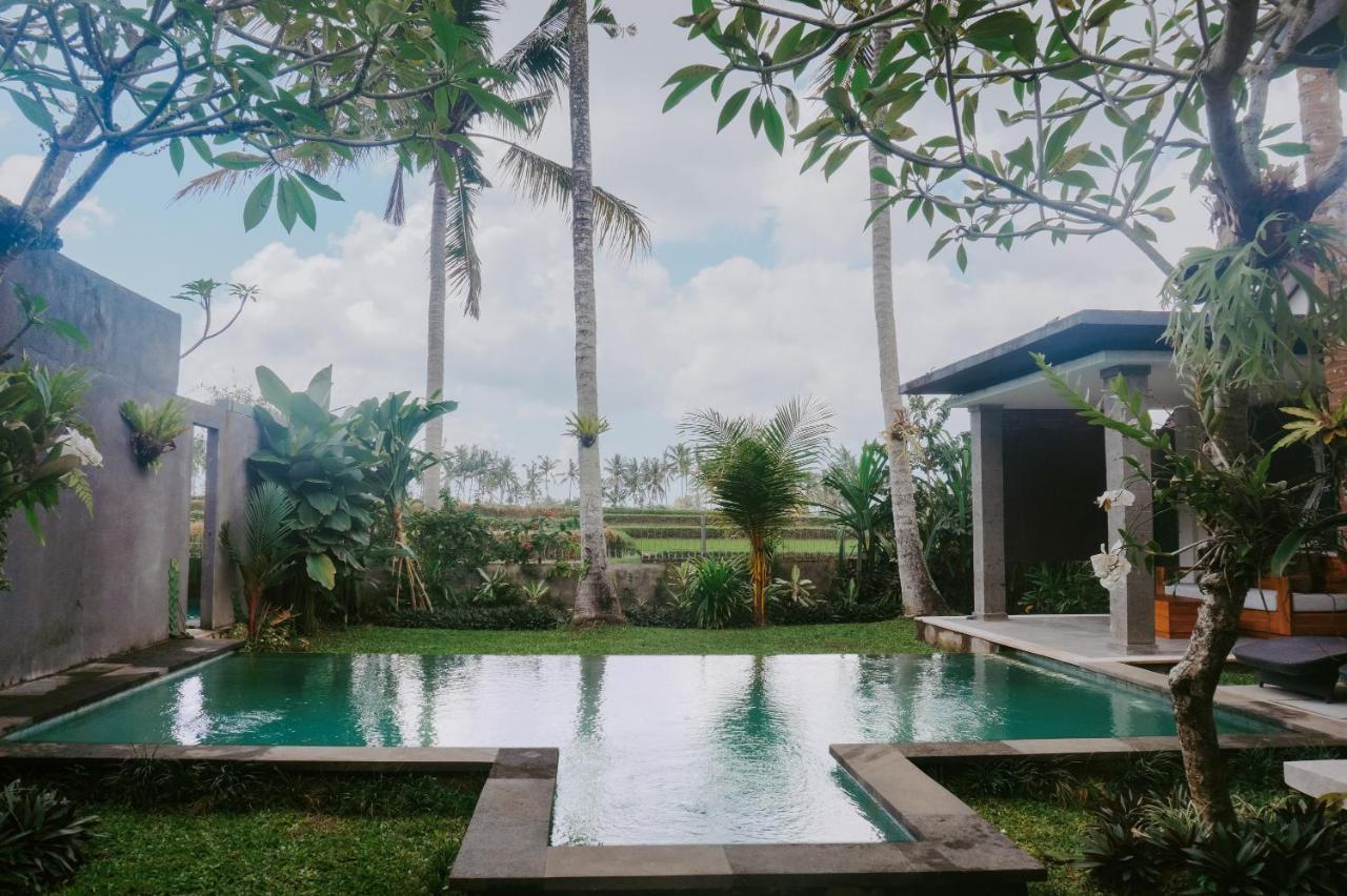 Anggira Villa Ubud Exteriér fotografie
